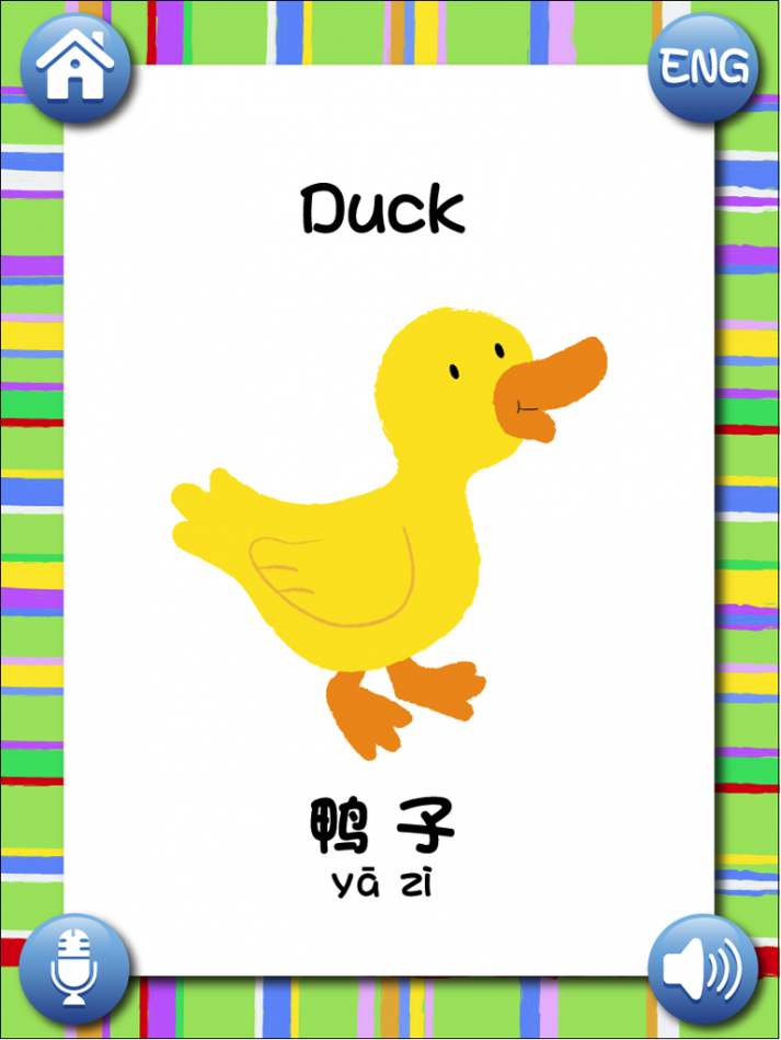 Flash Card of the word 'Duck'